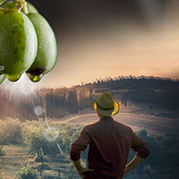 Plants: image 4 0f 4 thumb